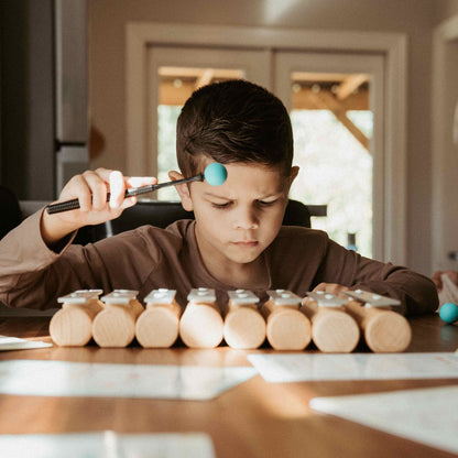 Pitch Bar Everything Bundle