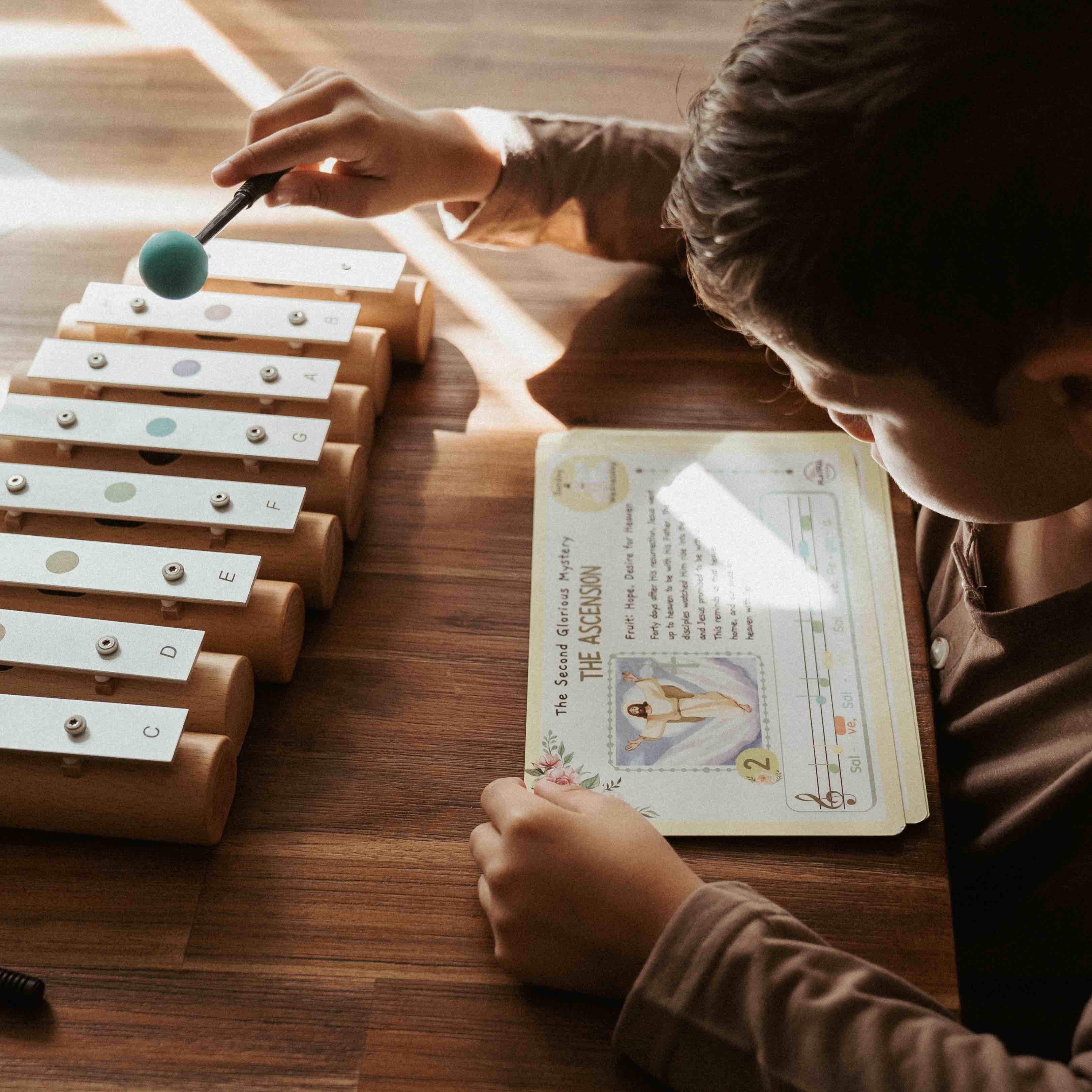 Pitch Bar Everything Bundle